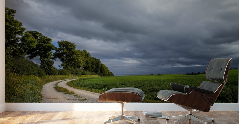 Sunday Drive Wall Murals