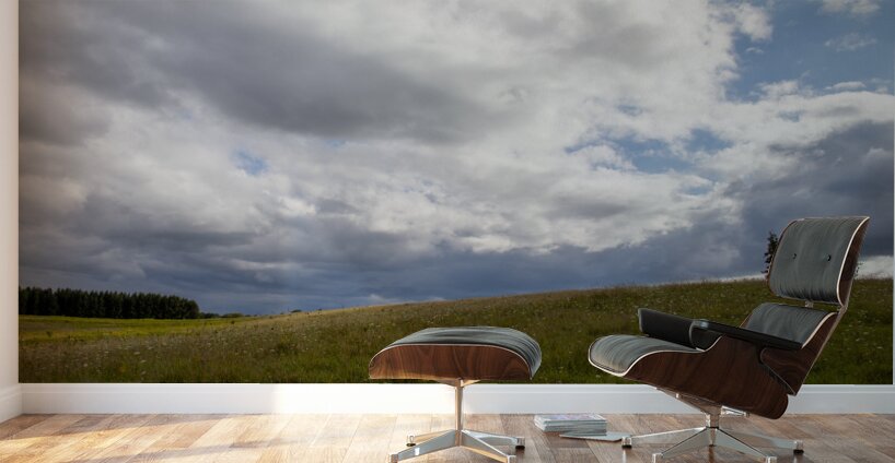 Rolling Meadow Wall Murals