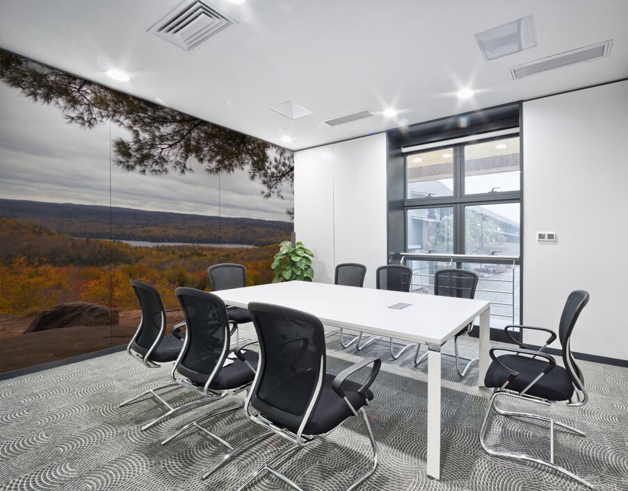 Algonquin Centenial Ridges 2 Wall Printing