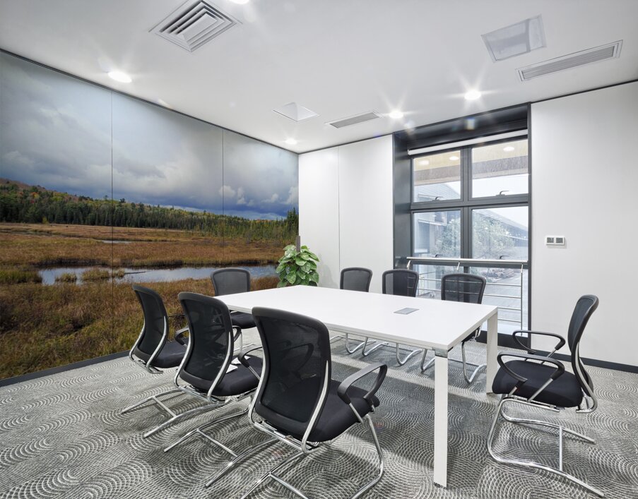 Algonquin Spruce Bog Boardwalk Wall Printing