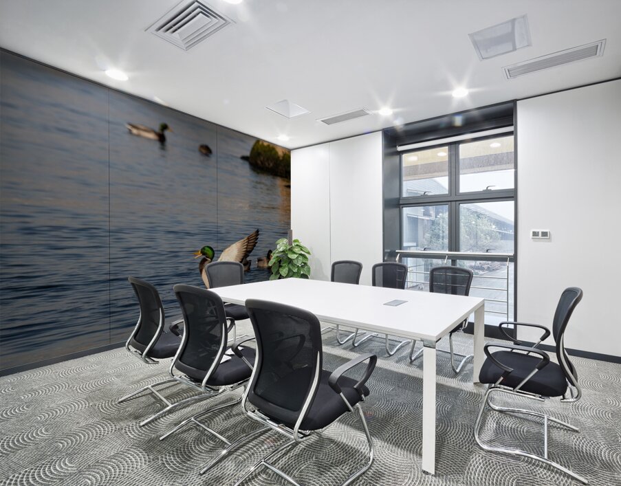 Toronto Lakefront Ducks Wall Printing