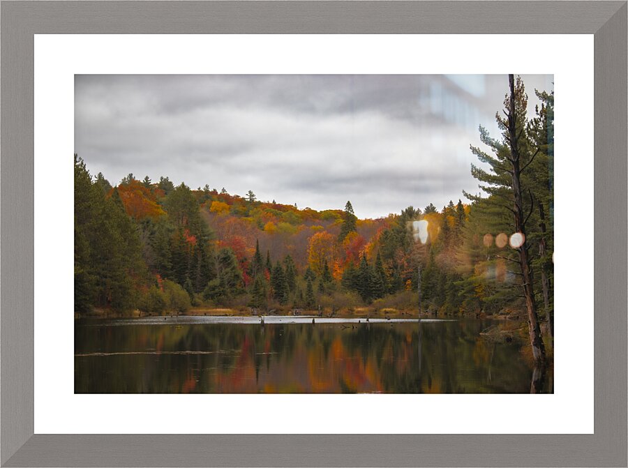 Algonquin Centenial Ridges 4 Picture Frame print