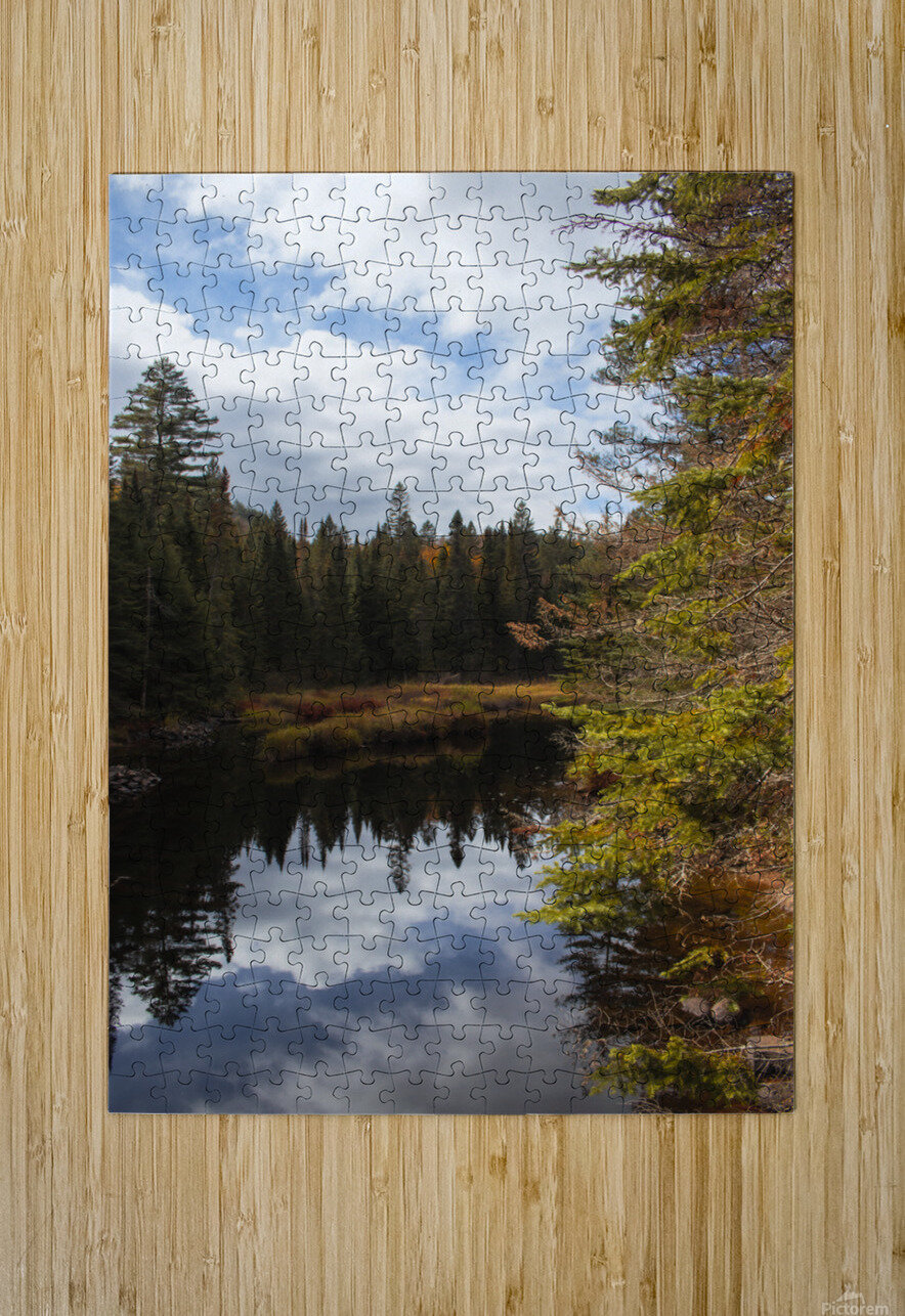 Algonquin Track and Tower Roy Hicks Photography Puzzle printing