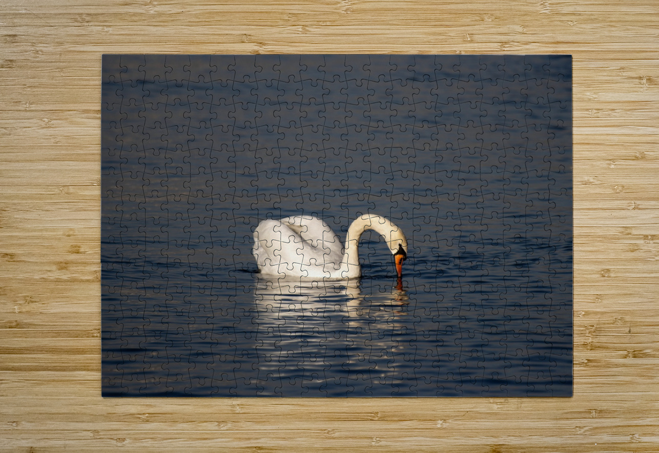 Toronto Lakefront Swan Roy Hicks Photography Puzzle printing