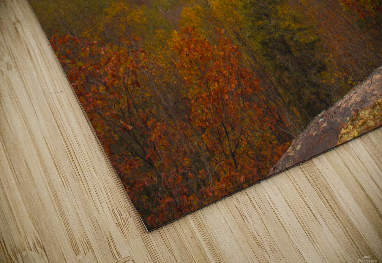 Algonquin Centenial Ridges 3 Roy Hicks Photography Puzzle