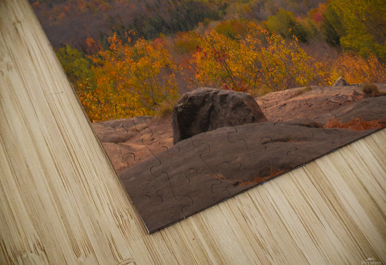 Algonquin Centenial Ridges 2 Roy Hicks Photography Puzzle