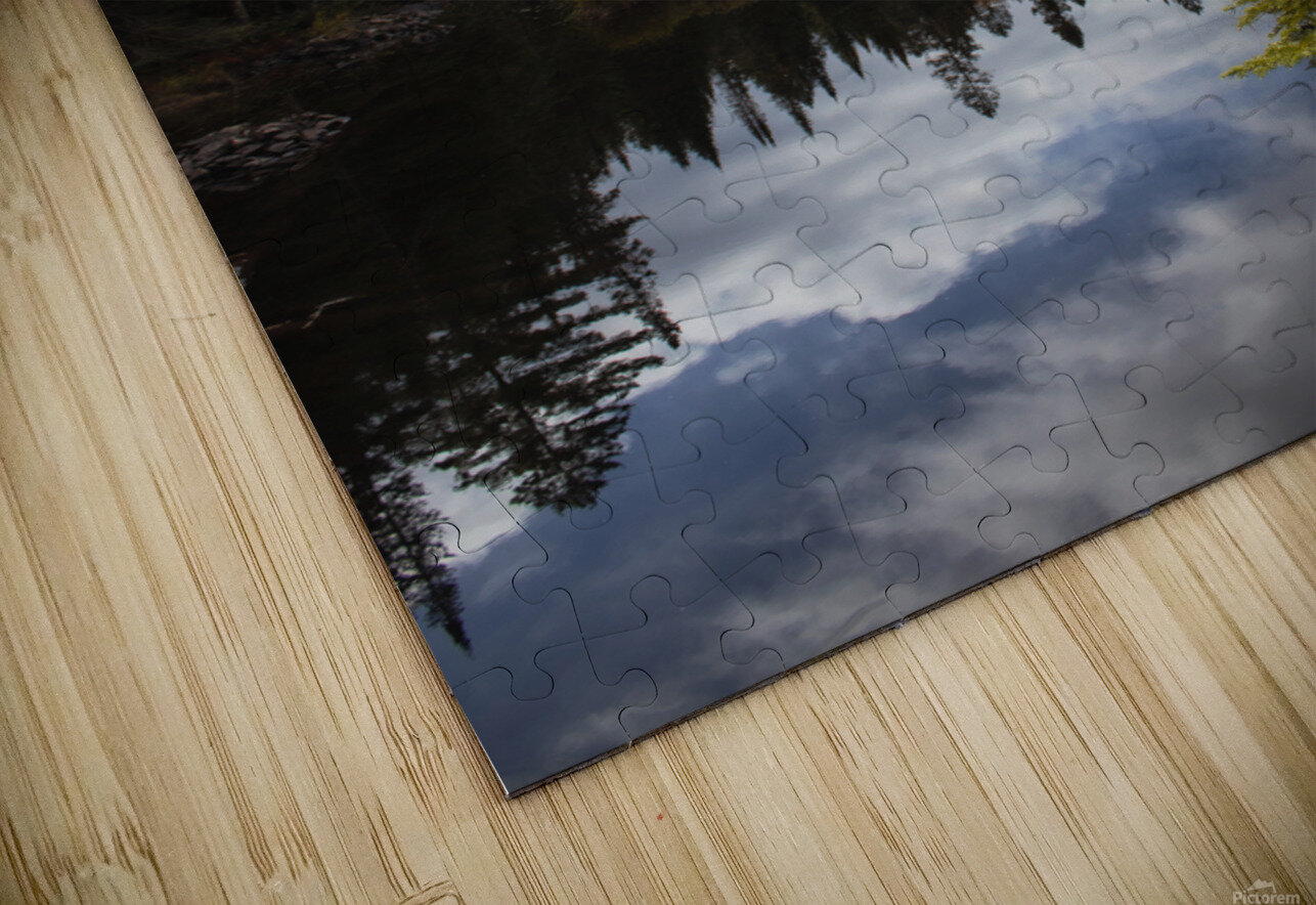 Algonquin Track and Tower Roy Hicks Photography Puzzle