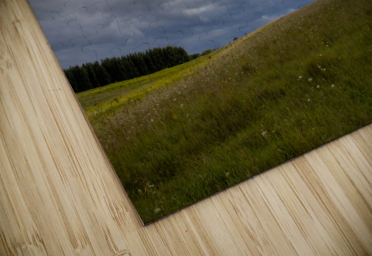 Rolling Meadow Roy Hicks Photography Puzzle