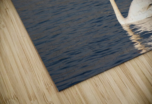 Toronto Lakefront Swans Roy Hicks Photography puzzle