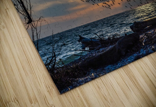 McLaughlin Bay Wildlife Reserve lake birds Roy Hicks Photography puzzle