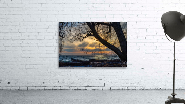 McLaughlin Bay Wildlife Reserve lake birds Wall Preview