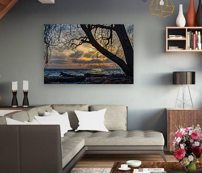 McLaughlin Bay Wildlife Reserve lake birds Reproduction