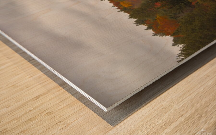 Algonquin Centenial Ridges 4 Wood print