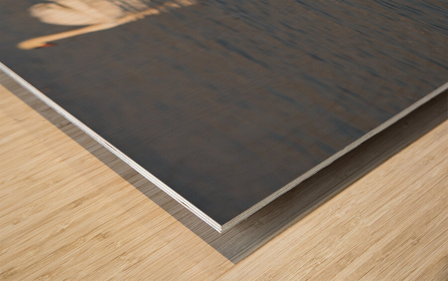 Toronto Lakefront Swans Wood print