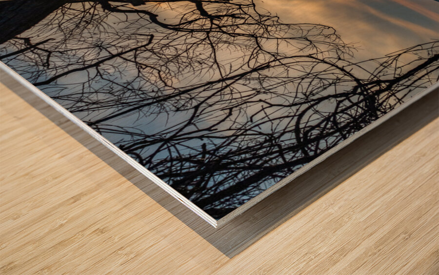 McLaughlin Bay Wildlife Reserve lake birds Wood print